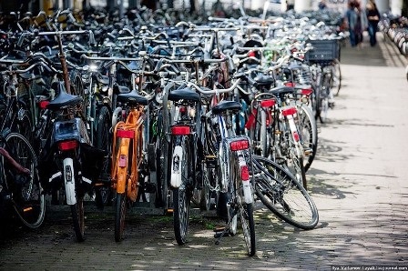 Khám phá thành phố xe đạp Amsterdam