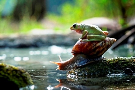 Một cảnh tượng hiếm gặp đã được nhiếp ảnh gia chụp lại