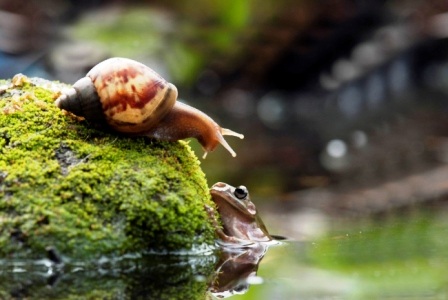 Một cảnh tượng hiếm gặp đã được nhiếp ảnh gia chụp lại