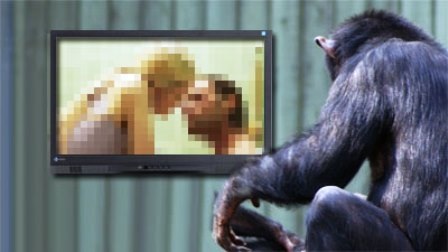 Chú tinh tinh Gina luôn thích thú với những kênh truyền hình có nội dung khiêu dâm