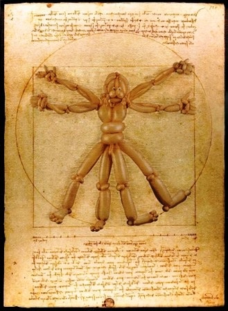 Hài hước với những bức họa nổi tiếng bằng… bóng bay - 12 Vitruvian Man của