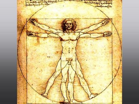 Hài hước với những bức họa nổi tiếng bằng… bóng bay - 11 Vitruvian Man của