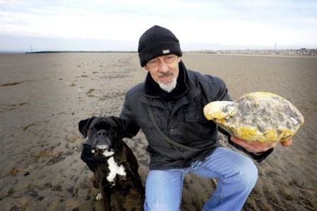 Tảng long diên hương mà ông Ken Wilman nhặt được trên bãi biển