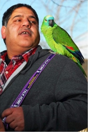 Chú vẹt Rocket đang đậu trên vai ông Tariq 