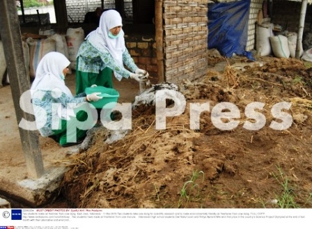 Biến phân bò thành nước khử mùi - 1 Dwi Nailul Izzah và Rintya Aprianti Miki lấy phân bò tại một trang trại ở phía Đông đảo Java