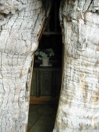 Nhà thờ độc đáo trên cây sồi nghìn tuổi