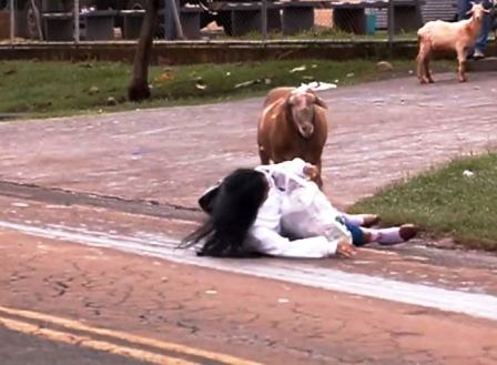 Dê “điên” gây náo loạn cả thị trấn - 2 Người phụ nữ bị dê điên húc ngã xuống đường