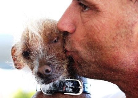 Anh Jon Adler hôn chú chó cưng Icky của mình