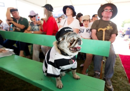 Grovie (10 tuổi) đang mong ngóng tham gia tranh tài