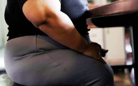 Bị trục xuất khỏi New Zealand vì quá béo - 1 Người bị béo phì sẽ không được làm việc tại