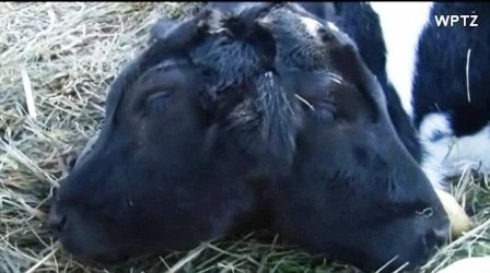 Chia sẻ với tờ