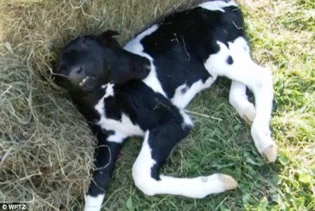 Chia sẻ với tờ