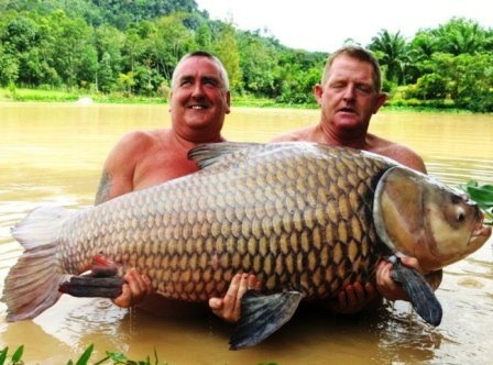 Câu được cá chép khủng nặng 60 kg - 1 Con cá chép nặng 60kg do ông
