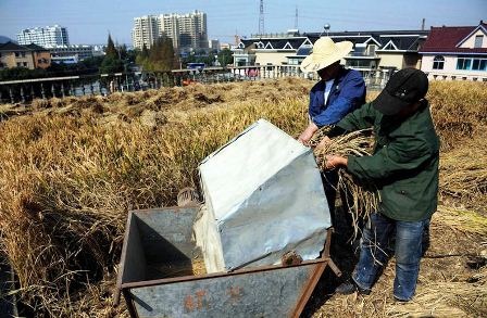 Tầng thượng của ngôi nhà cách mặt đất hơn 12 mét, và với diện tích chỉ 129 mét vuông, ông