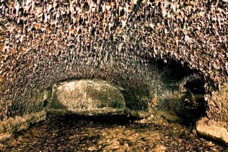 Khám phá “địa ngục trần gian” Zverev - 3 Khám phá “địa ngục trần gian” Zverev