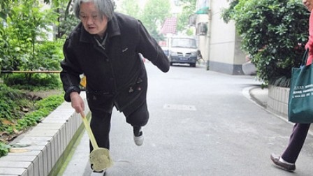 Suốt 14 năm qua, cụ