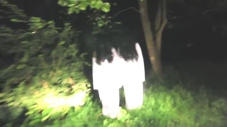 Màn dọa ma được anh