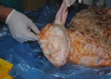 Đoạn clip được chia sẻ trên trang Youtube nhanh chóng đã thu hút hơn 200.000 lượt người xem.