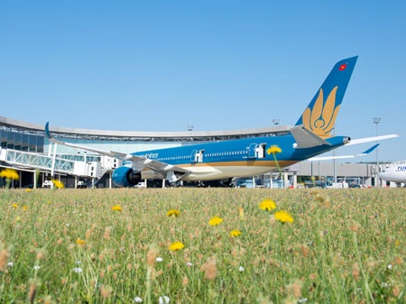 Vietnam Airlines tiếp nhận máy bay Airbus 350 XWB đầu tiên - 1 Máy bay A350 của Vietnam Airlines