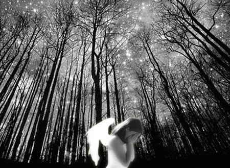 Bi kịch dưới Camera  - 1