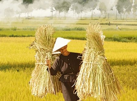 Thơ vui tặng mẹ vợ - 1 Thơ vui tặng mẹ vợ - 1