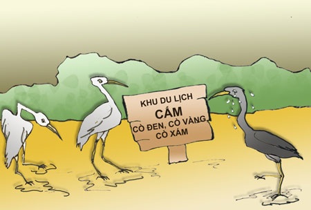 Chuyện họ nhà cò - 1