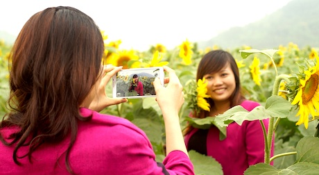 “Mùa thu vàng” rực rỡ hút hồn ở miền Tây xứ Nghệ - 38 Ghi lại trong máy điện thoại những khoảnh khắc đẹp ở trên cánh đồng hoa hướng dương.