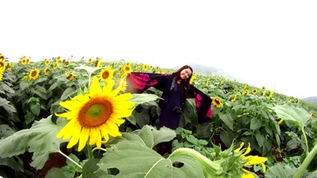 Thả mình trong những rặng hoa