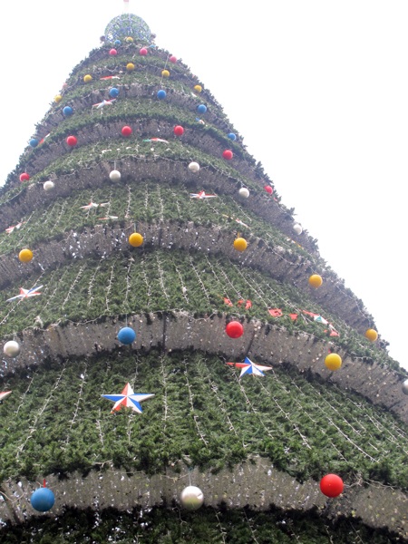 Ngắm cây thông Noel “khủng” cao bằng tòa nhà... 10 tầng - 1 Ngắm cây thông Noel “khủng” cao bằng tòa nhà... 10 tầng