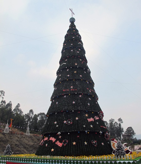 Ngắm cây thông Noel “khủng” cao bằng tòa nhà... 10 tầng - 2 Cây thông cao 41m, thân chỗ rộng nhất 13m.