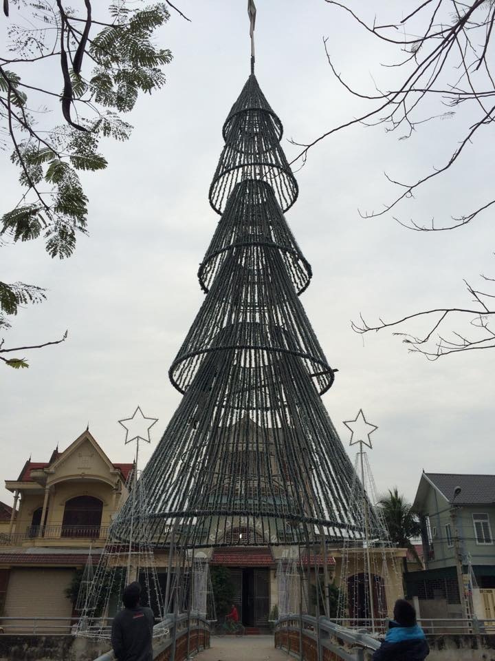 Một cây thông cao hàng chục mét tại giáo xứ Nghi Lộc, huyện Diễn Châu được trang hoàng.