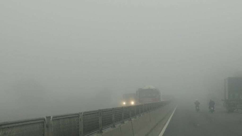 Nhiều ô tô phải bò nối đuôi nhau đi chậm trong làn sương sớm.