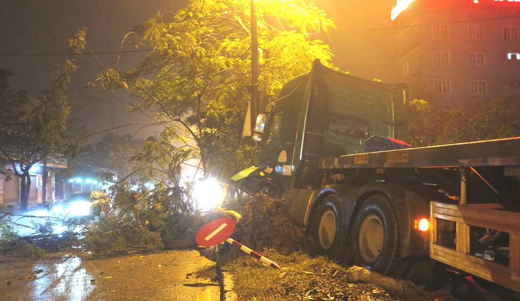 Xe đầu kéo đâm bật gốc cây phượng cao gần chục mét