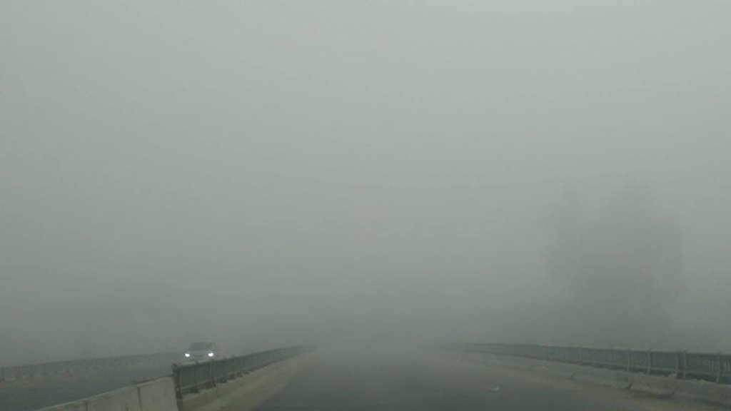 Nhiều ô tô phải bò nối đuôi nhau đi chậm trong làn sương sớm.