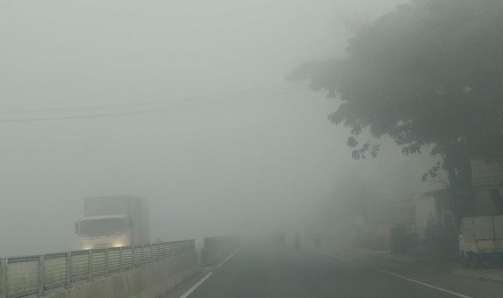 Nhiều ô tô phải bò nối đuôi nhau đi chậm trong làn sương sớm.