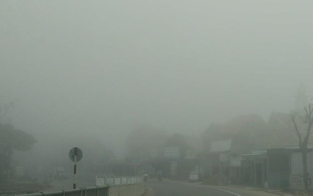 Nhiều ô tô phải bò nối đuôi nhau đi chậm trong làn sương sớm.