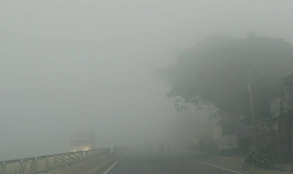 Nhiều ô tô phải bò nối đuôi nhau đi chậm trong làn sương sớm.