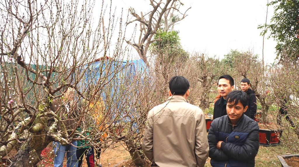 Người mua nhộn nhịp.