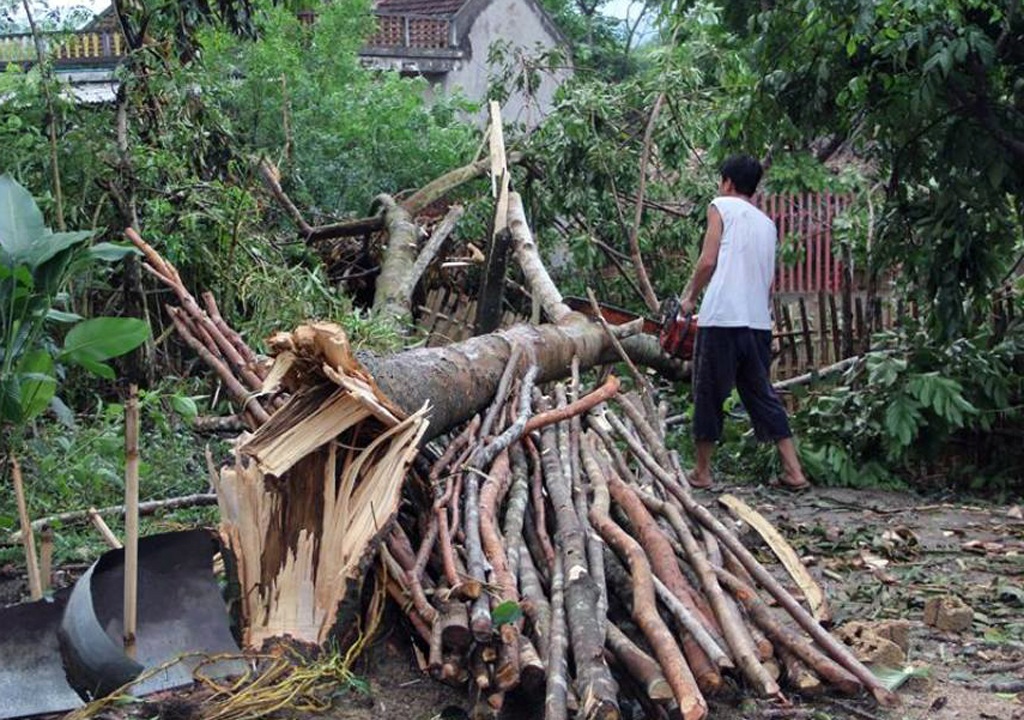 Rất nhiều cây cối gãy đổ, may mắn không có thiệt hại về người.