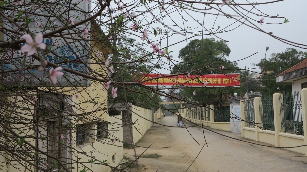 Những ngày cuối cùng của năm cũ con đường vào
làng phong vẫn tĩnh lặng đến buốt lòng.