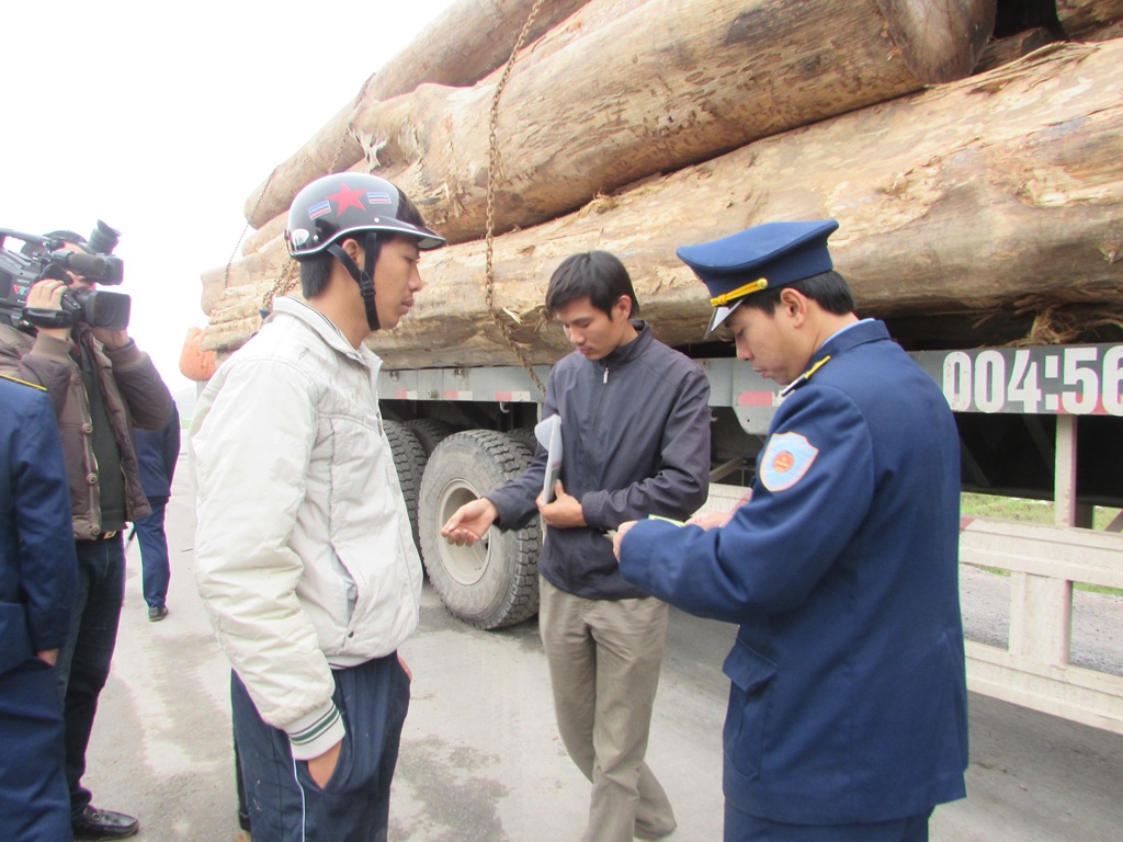 Ngày 3/2, Thanh tra Sở GTVT Nghệ An bắt 19 xe khủng chở gỗ từ Hà Tĩnh về Nghệ An.