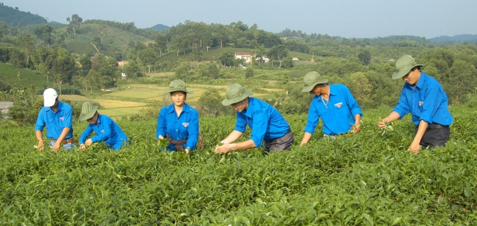 Những dấu chân thanh niên xứ Nghệ trên khắp nẻo đường - 19 Thị đoàn Cửa Lò đã triển khai phong trào “Tết khuyến học” sâu rộng trên toàn Thị xã trao