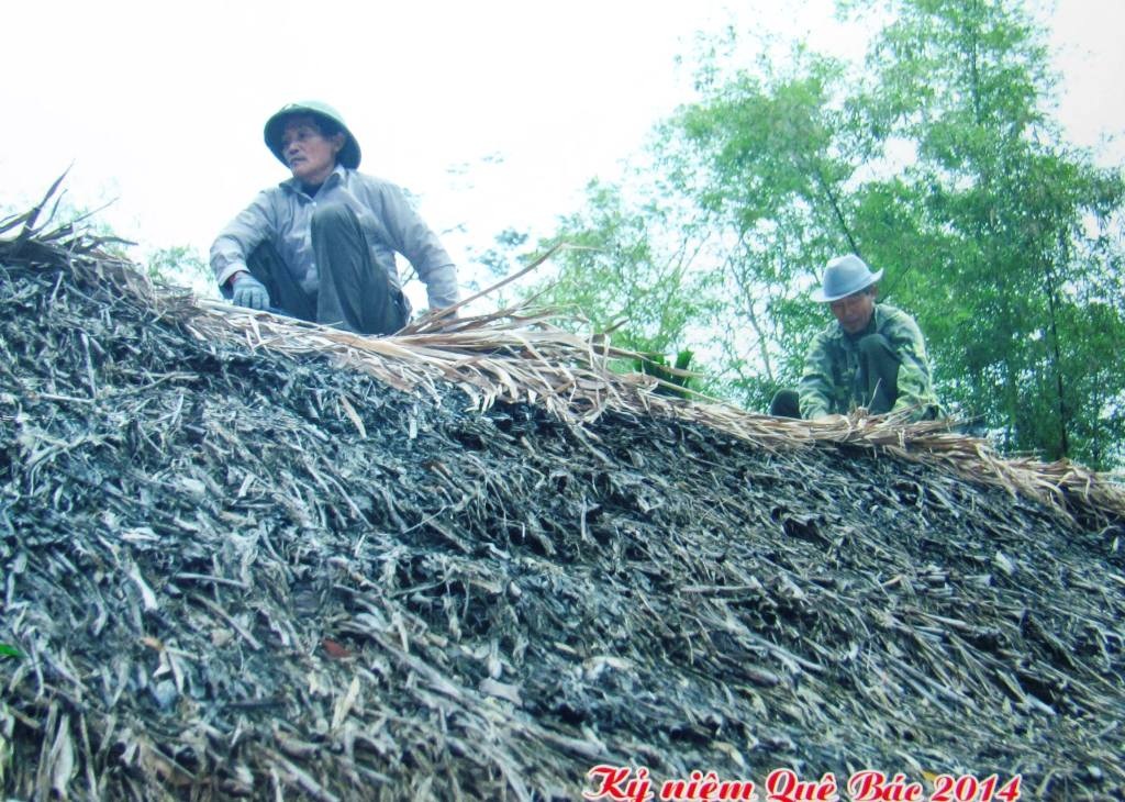 Người đàn ông hơn 40 năm đan mái tranh lợp nhà Bác Hồ - 4 Ông Hùng hằng ngày vẫn cần mẫn bên những lá mía, phên tranh để lợp mái cho nhà Bác Hồ.