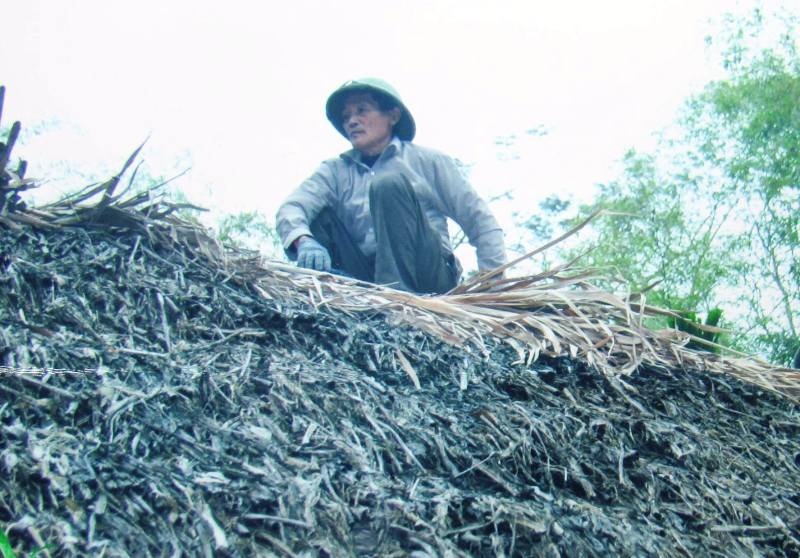 Người đàn ông hơn 40 năm đan mái tranh lợp nhà Bác Hồ - 2 Ông Hùng trong một lần lợp mái tranh nhà Bác Hồ.