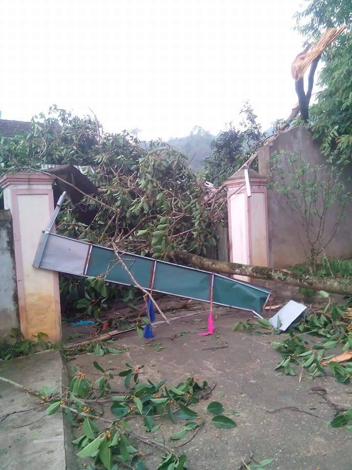Lốc xoáy, nhà sập, 5 bà cháu thoát chết - 4 Lốc xoáy xảy cũng đã làm căn nhà để gỗ của trạm QLBVR Bình Chuẩn thuộc Khu BTTN Pù Huống.