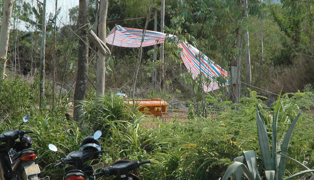 Hiện trường phát hiện người đàn ông chết trong rừng cây bạch đàn.