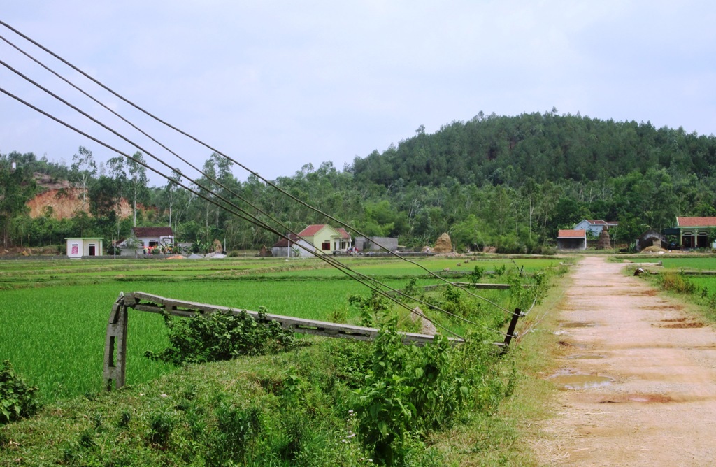 Mưa lớn kèm theo lốc đã làm gãy đổ hàng trăm cột điện hạ thế tại huyện lúa Yên Thành.