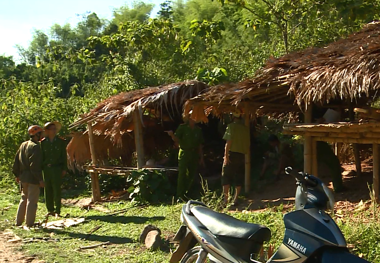 Lán trại do một số đối tượng dựng lên để trú trong quá trình chặt phá rừng.