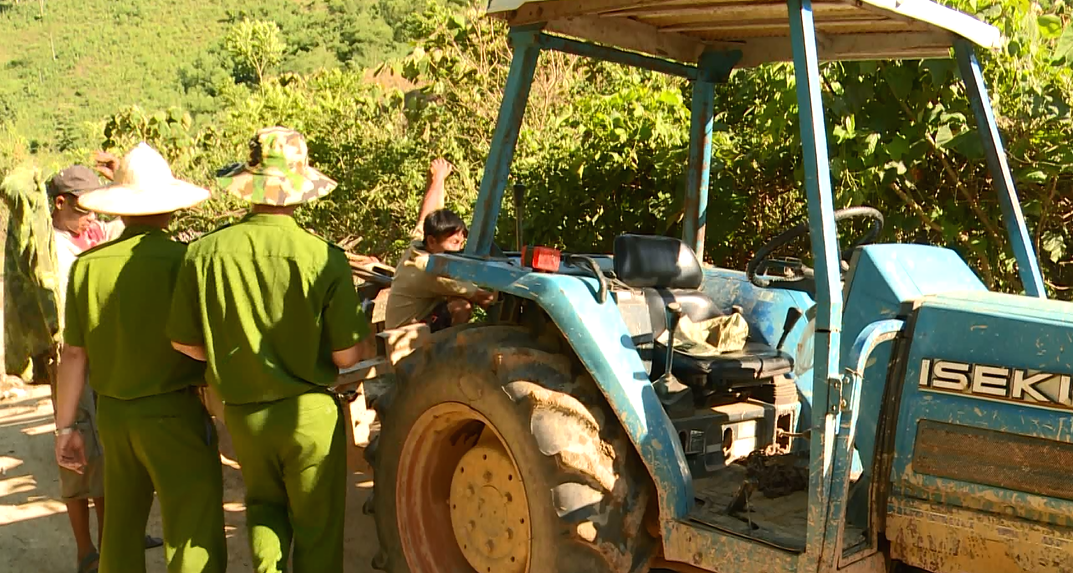 3 máy kéo dùng để vận chuyển gỗ.