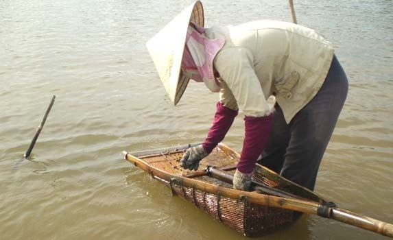 Sông Lam "khát" hến - 3 Cả ngày ngâm mình dưới lòng sông cũng chỉ thu về được hai, ba chục ngàn đồng.